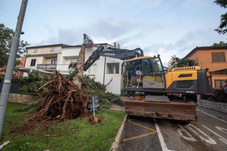 Prepolovljena kampica, deseci i&scaron;čupanih stabala. Ovako je izgledao Novigrad nakon nevremena