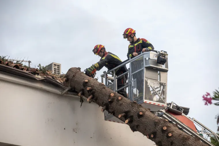 Prepolovljena kampica, deseci i&scaron;čupanih stabala. Ovako je izgledao Novigrad nakon nevremena