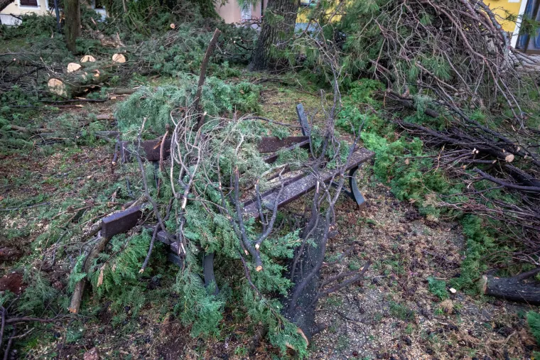 Prepolovljena kampica, deseci i&scaron;čupanih stabala. Ovako je izgledao Novigrad nakon nevremena
