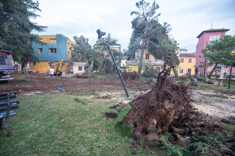 Prepolovljena kampica, deseci i&scaron;čupanih stabala. Ovako je izgledao Novigrad nakon nevremena