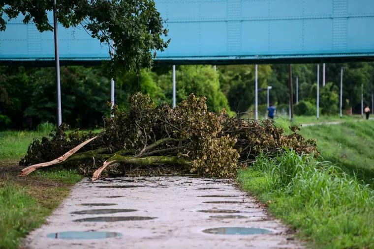 Izlila se Sava u Zagrebu. Potopila pune frižidere, pozornicu, zvučnike ljetnog festivala na nasipu