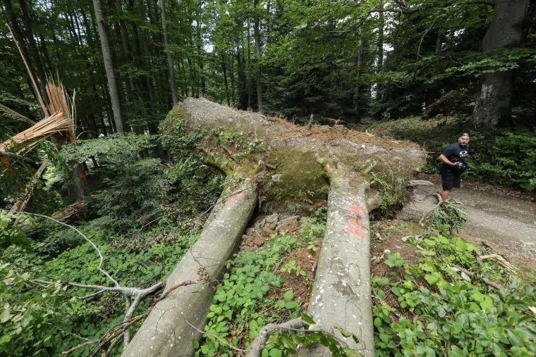 PP Medvednica teško stradao u nevremenu. Na kapelicu nije palo ni jedno stablo: 'U 250 godina ovo nije zabilježeno'
