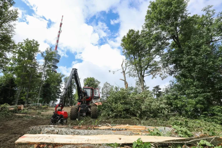 PP Medvednica teško stradao u nevremenu. Na kapelicu nije palo ni jedno stablo: 'U 250 godina ovo nije zabilježeno'