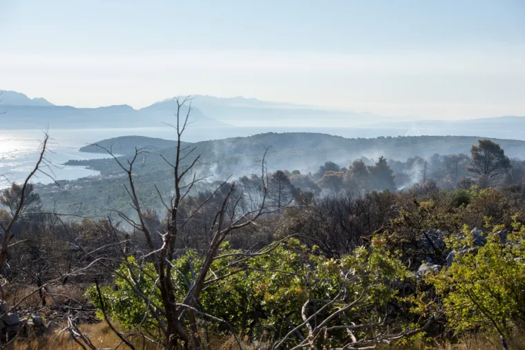 Spaljena zemlja bez znakova života. Ovako izgleda Čiovo koje je jučer prožvakala vatrena stihija