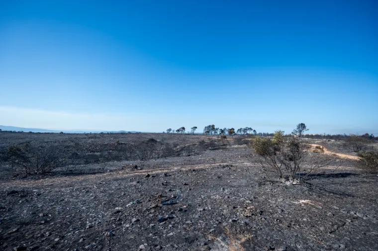 Spaljena zemlja bez znakova života. Ovako izgleda Čiovo koje je jučer prožvakala vatrena stihija