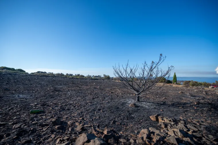 Spaljena zemlja bez znakova života. Ovako izgleda Čiovo koje je jučer prožvakala vatrena stihija