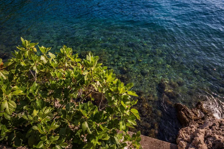 Zavirite u pravi raj na hrvatskoj obali: Ovo tajnovito mjesto pružalo je utočište mnogim pomorcima