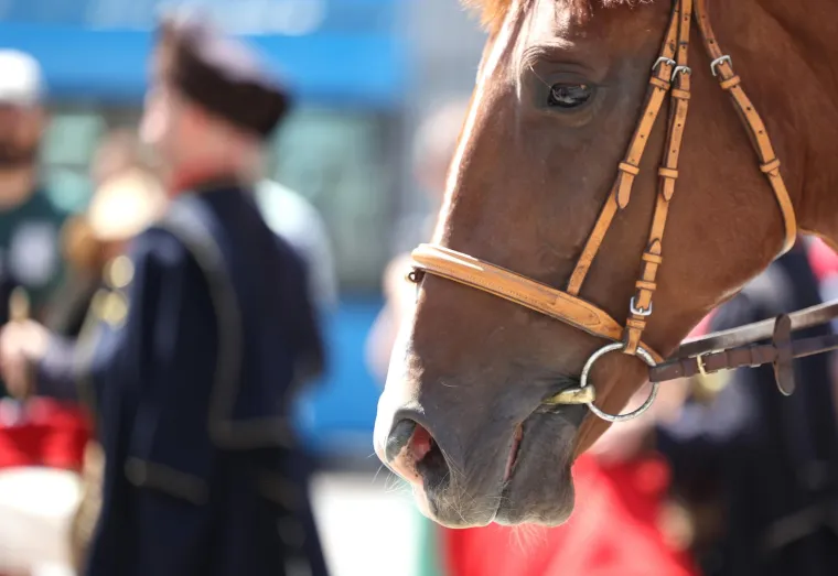 I na 26 stupnjeva, u tamnim odijelima, Kravat pukovnija na zagrebačkim ulicama. Zaintrigirali i domaće i strane turiste