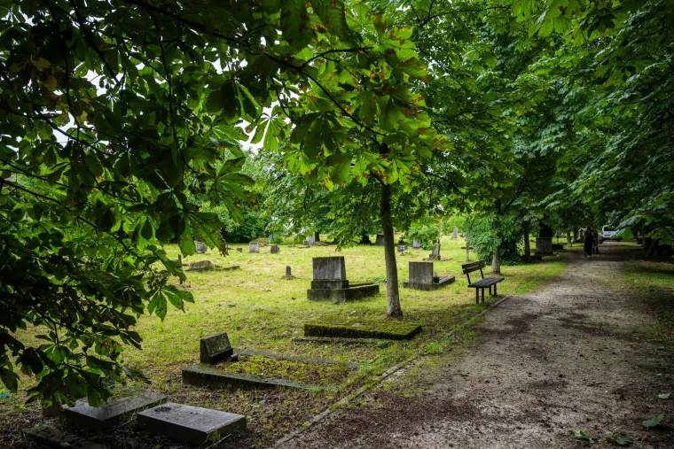 Propali spomenici, mračna šuma u zagrebačkom parku. Ovako danas izgleda groblje gdje je pokopano osoblje i pacijenti bolnice Vrapče