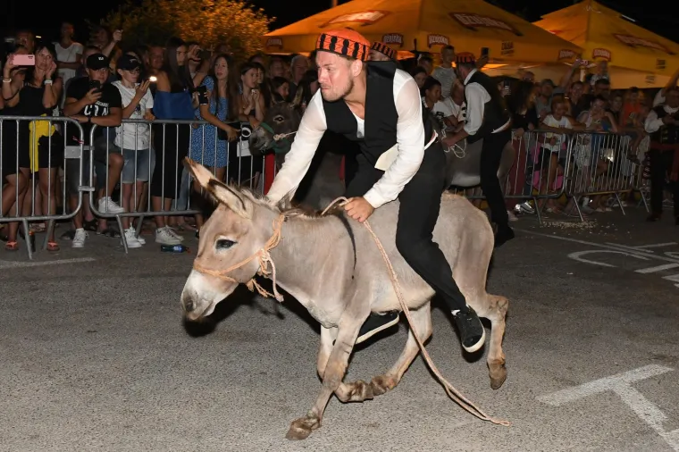 Održana tradicionalna utrka magaraca u Tribunju. Pobijedio Vodičanin Roko, uz bok mu stigla i dva Jakova