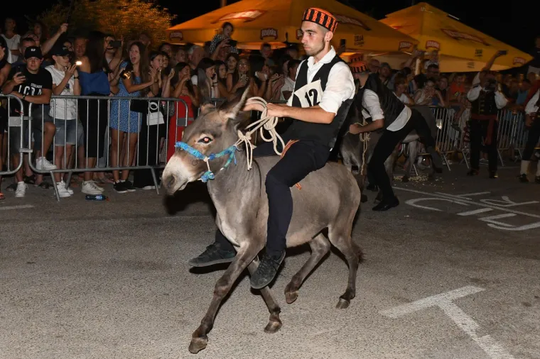 Održana tradicionalna utrka magaraca u Tribunju. Pobijedio Vodičanin Roko, uz bok mu stigla i dva Jakova