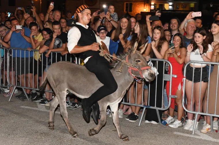 Održana tradicionalna utrka magaraca u Tribunju. Pobijedio Vodičanin Roko, uz bok mu stigla i dva Jakova