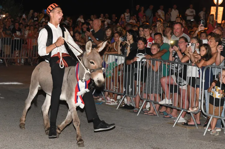 Održana tradicionalna utrka magaraca u Tribunju. Pobijedio Vodičanin Roko, uz bok mu stigla i dva Jakova