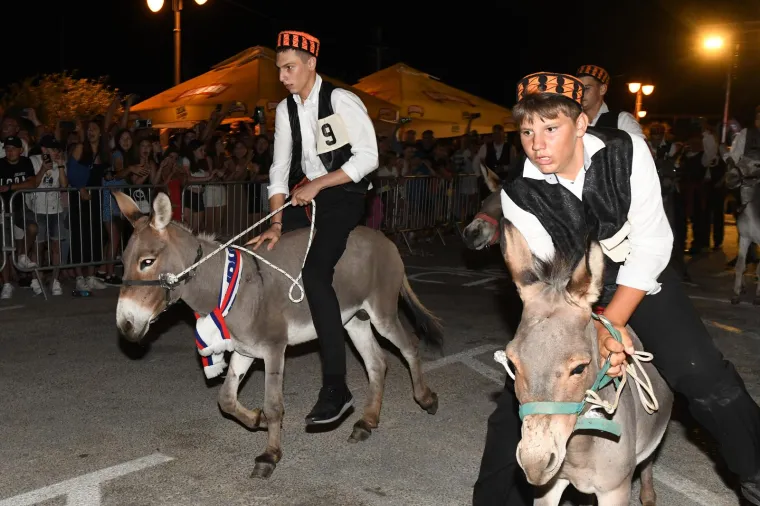 Održana tradicionalna utrka magaraca u Tribunju. Pobijedio Vodičanin Roko, uz bok mu stigla i dva Jakova