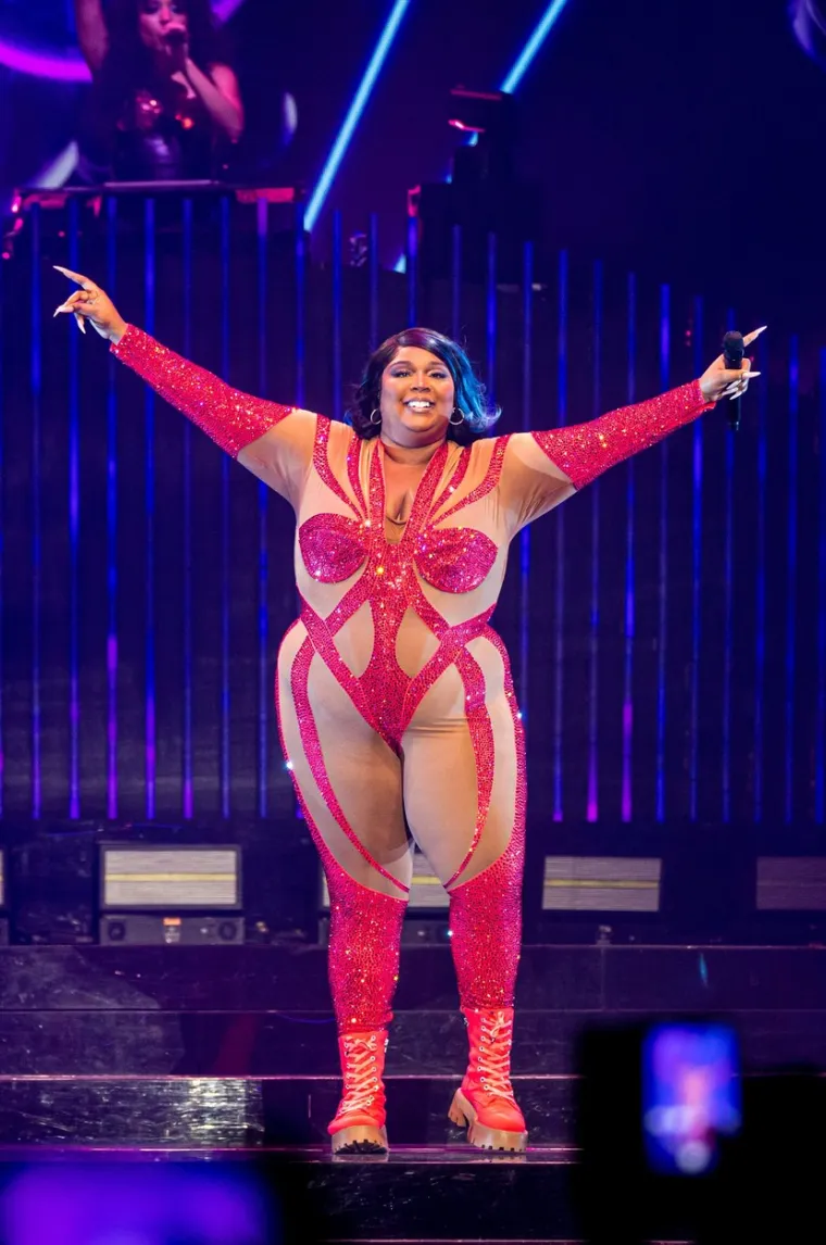 Lizzo je pjevačica poznata po hitu "Good as Hell" i također je na strani demokrata.