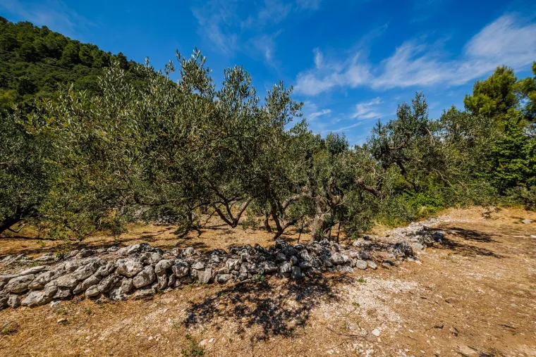 Korčula Uvala Samograd - Uvala nalazi se blizu mjesta Račišće na sjevernoj strani Otoka Korčule