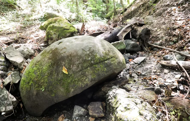 FOTO Misterij kamenih kugli u BiH. Nitko ne zna kako su nastale, ali kriju i ljekovite moći?