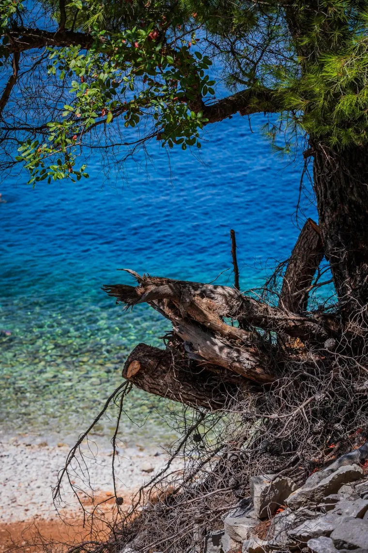 Hrvatski biser koji se isplati posjetiti: Na plaži nema tu&scaron;eva, nema kafića, nema zapravo ničega osim kristalno čistog mora