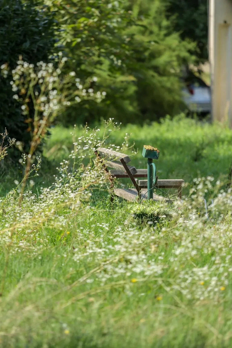 Prepoznajete li ovaj grad? Pretvara se, doslovno, u prašumu... Trebamo li se bojati lavova?