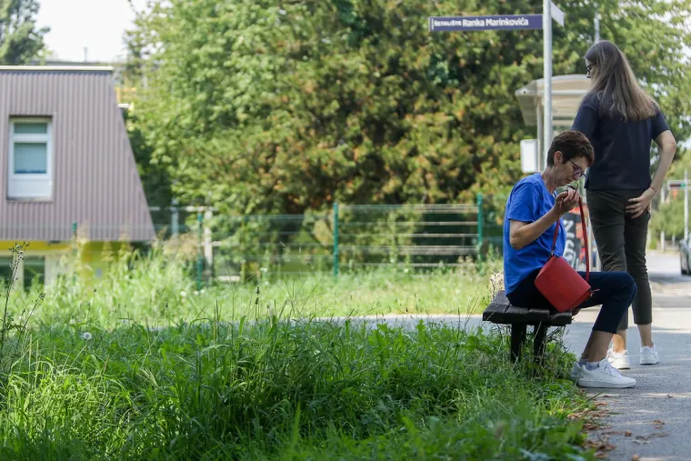 Prepoznajete li ovaj grad? Pretvara se, doslovno, u prašumu... Trebamo li se bojati lavova?