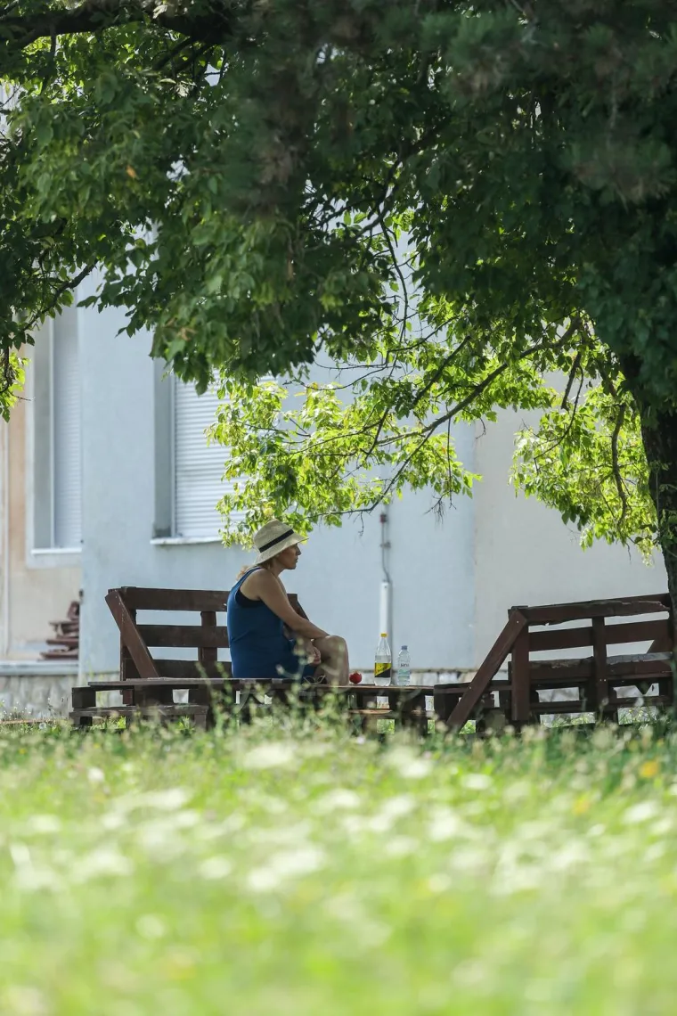 Prepoznajete li ovaj grad? Pretvara se, doslovno, u prašumu... Trebamo li se bojati lavova?