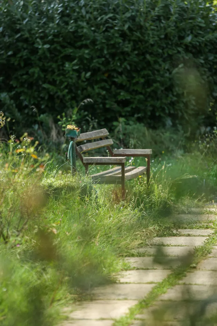 Prepoznajete li ovaj grad? Pretvara se, doslovno, u prašumu... Trebamo li se bojati lavova?