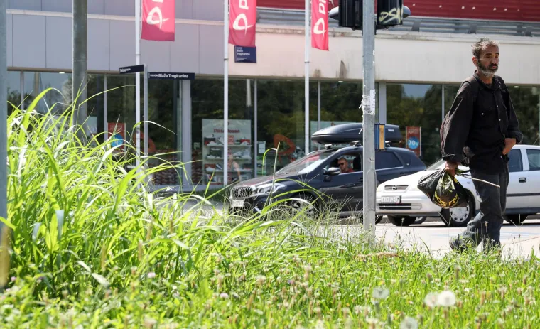 Prepoznajete li ovaj grad? Pretvara se, doslovno, u prašumu... Trebamo li se bojati lavova?