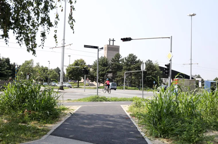 Prepoznajete li ovaj grad? Pretvara se, doslovno, u prašumu... Trebamo li se bojati lavova?