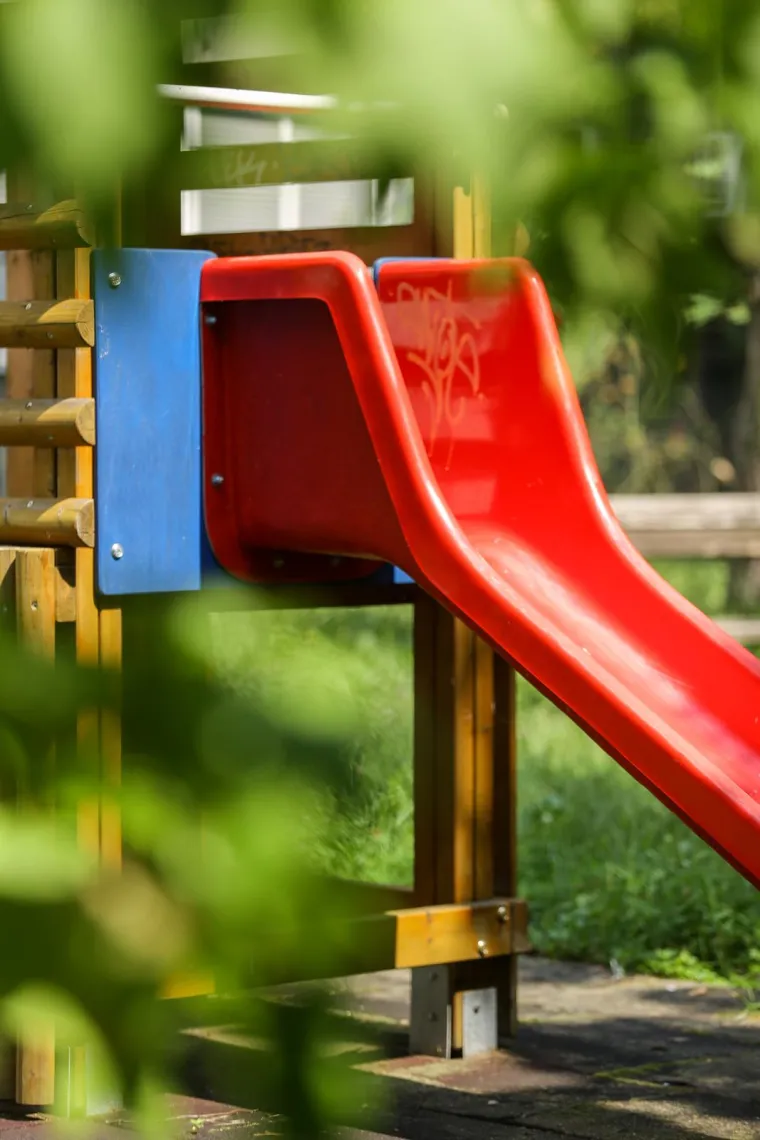 Prepoznajete li ovaj grad? Pretvara se, doslovno, u prašumu... Trebamo li se bojati lavova?