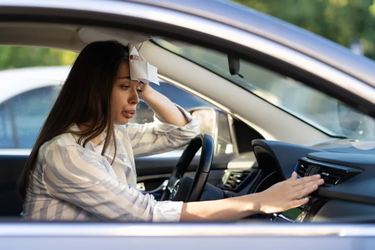 Ako sjedate u automobil, ostavite ga otvorenog nekoliko minuta da se prozrači, a zatim uključite klimu. U vozilu nikada ne ostavljajte djecu ili kućne ljubimce. Pazite i na nježne šape svojih ljubimaca i pobrinite se da uvijek imaju tekućine. 
