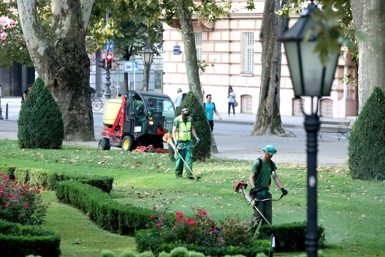 Kosilice u Zagrebu postoje! 'Od kad se digla galama, zazujali su s trimerima. Odjednom je kao golf teren'