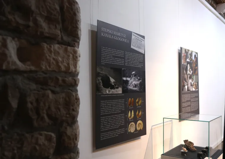 Mamut iz posljednjeg ledenog doba stigao u Šibenik. Našim krajem ovaj div hodao je prije 96.000 godina