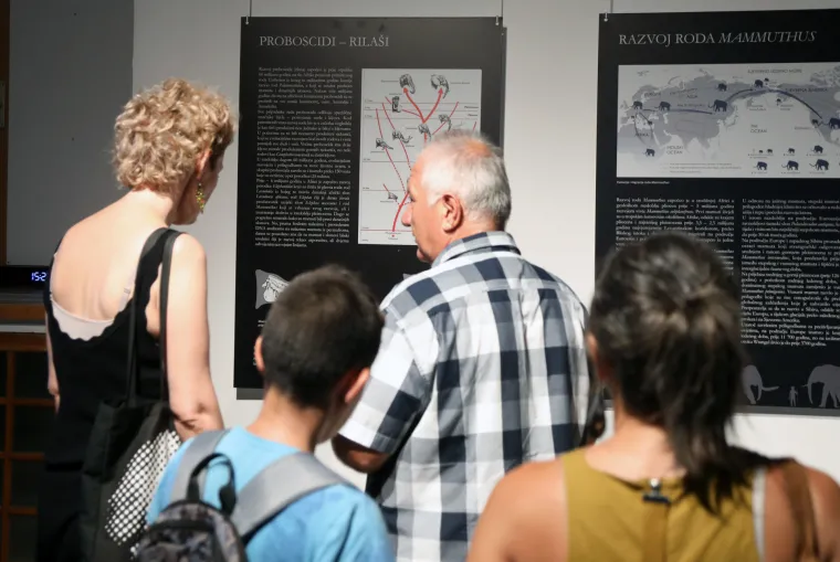 Mamut iz posljednjeg ledenog doba stigao u Šibenik. Našim krajem ovaj div hodao je prije 96.000 godina