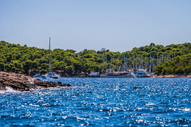 Ljepote Palmižane na Paklinskim otocima