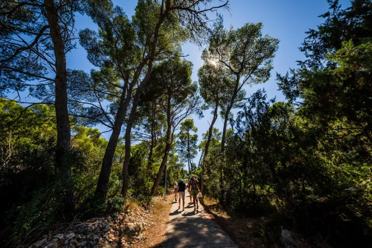 Ljepote Palmižane na Paklinskim otocima