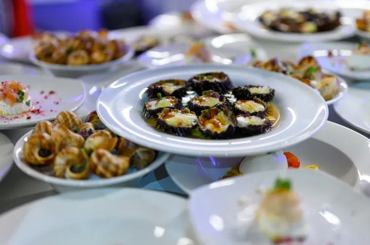 EKSKLUZIVNA SURADNJA GEMME B&D I SMEG-A DONOSI REVOLUCIJU U SVIJET KUĆANSKIH  APARATA U HRVATSKOJ