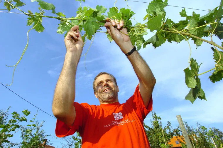 Jeo je snijeg, bio pilot, smetlar i bio je jači od sudbine: 'Da nisam došao u Zagreb, grad bi izgubio'
