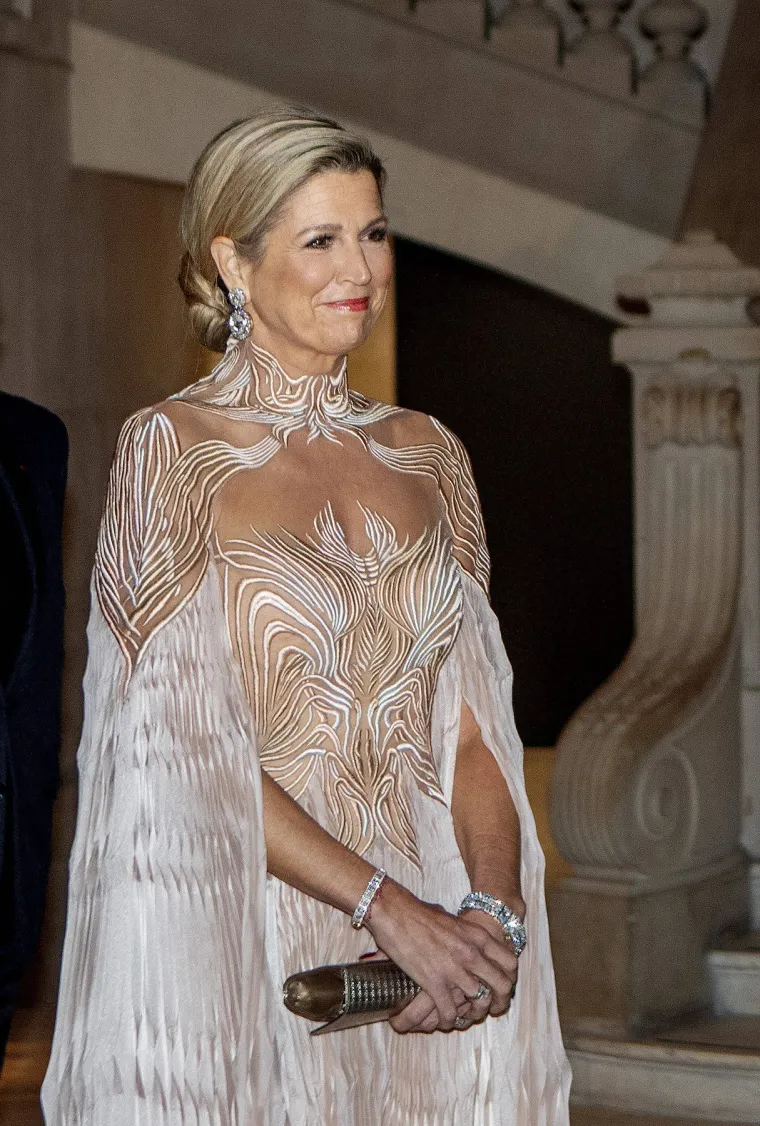 Nizozemska kraljica Maxima zasjenila je i Brigitte Macron: Kad se širokog osmjeha pojavila u ovoj haljini, vrijeme je nakratko stalo