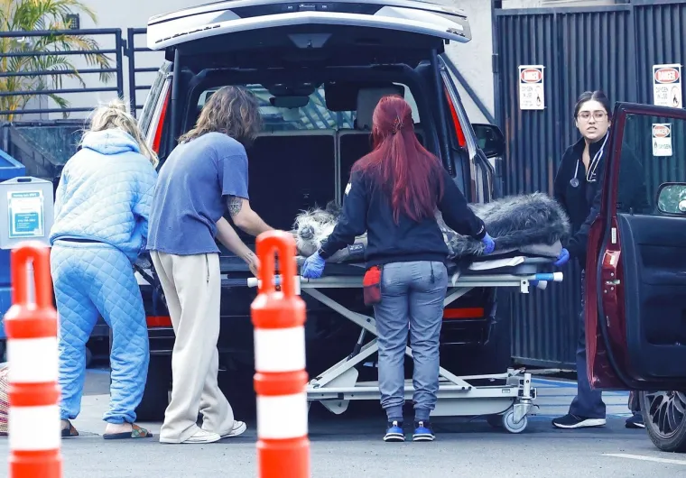 Heidi Klum i Tom Kaulitz doveli su svojeg voljenog udomljenog psa veterinaru, izgledao je kao da je u lošem stanju