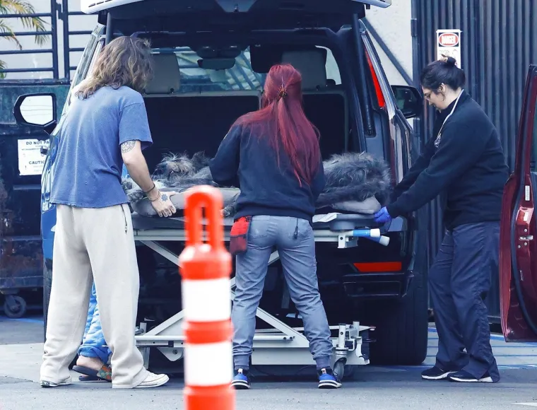 Heidi Klum i Tom Kaulitz doveli su svojeg voljenog udomljenog psa veterinaru, izgledao je kao da je u lo&scaron;em stanju