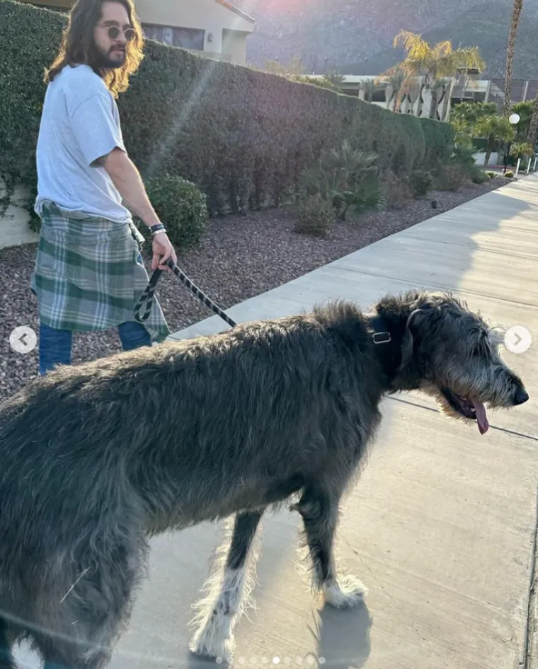 Heidi Klum i Tom Kaulitz doveli su svojeg voljenog udomljenog psa veterinaru, izgledao je kao da je u lo&scaron;em stanju