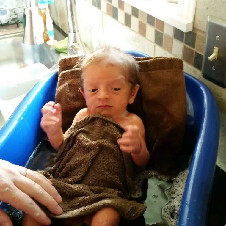 Tek su stigle na svijet, a već izgledaju kao da su vidjele i pro&scaron;le sve, kao da ih je život umorio