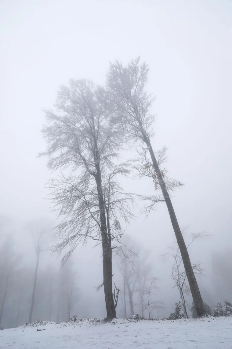 Prvi ovogodi&scaron;nji snijeg zabijelio je Sljeme: Vrh Medvednice odi&scaron;e zimskom atmosferom