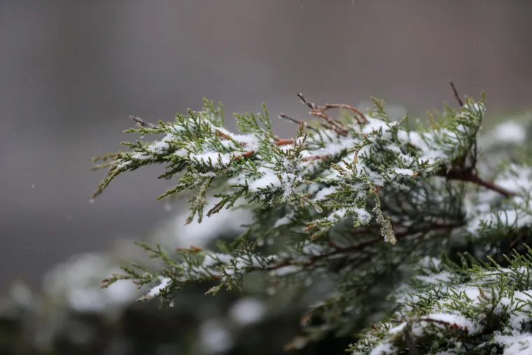 Prvi ovogodi&scaron;nji snijeg zabijelio je Sljeme: Vrh Medvednice odi&scaron;e zimskom atmosferom