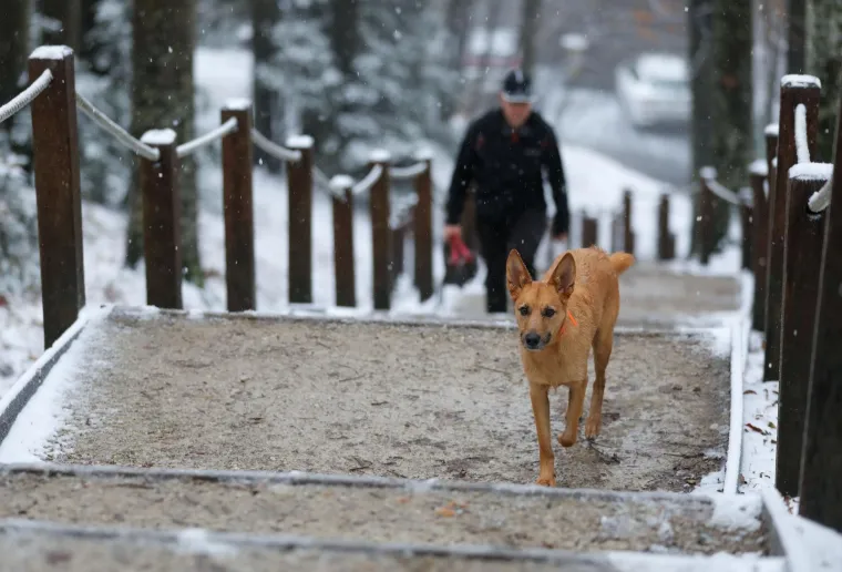 Prvi ovogodi&scaron;nji snijeg zabijelio je Sljeme: Vrh Medvednice odi&scaron;e zimskom atmosferom