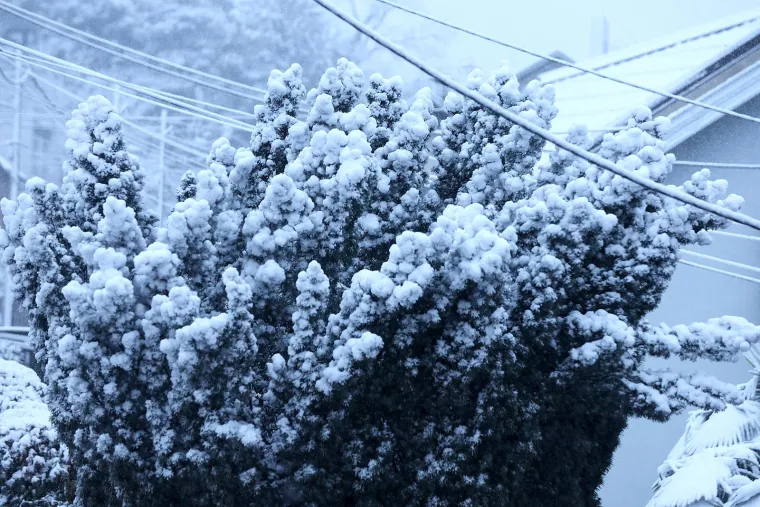 Snijeg izazvao prometni kolaps u Zagrebu: Vi&scaron;e je vozila zapelo u snijegu i sletjelo s ceste