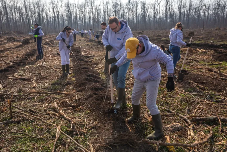 Dukatov projekt po&scaron;umljavanja obnavlja najveću &scaron;umu hrasta lužnjaka u Europi