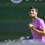 Meč na Mastersu u Indian Wellsu na gotovo dva sata prekinula invazija pčela