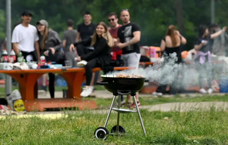 Kome cure sline? Momci na Jarunu vrtili janje na ražnju