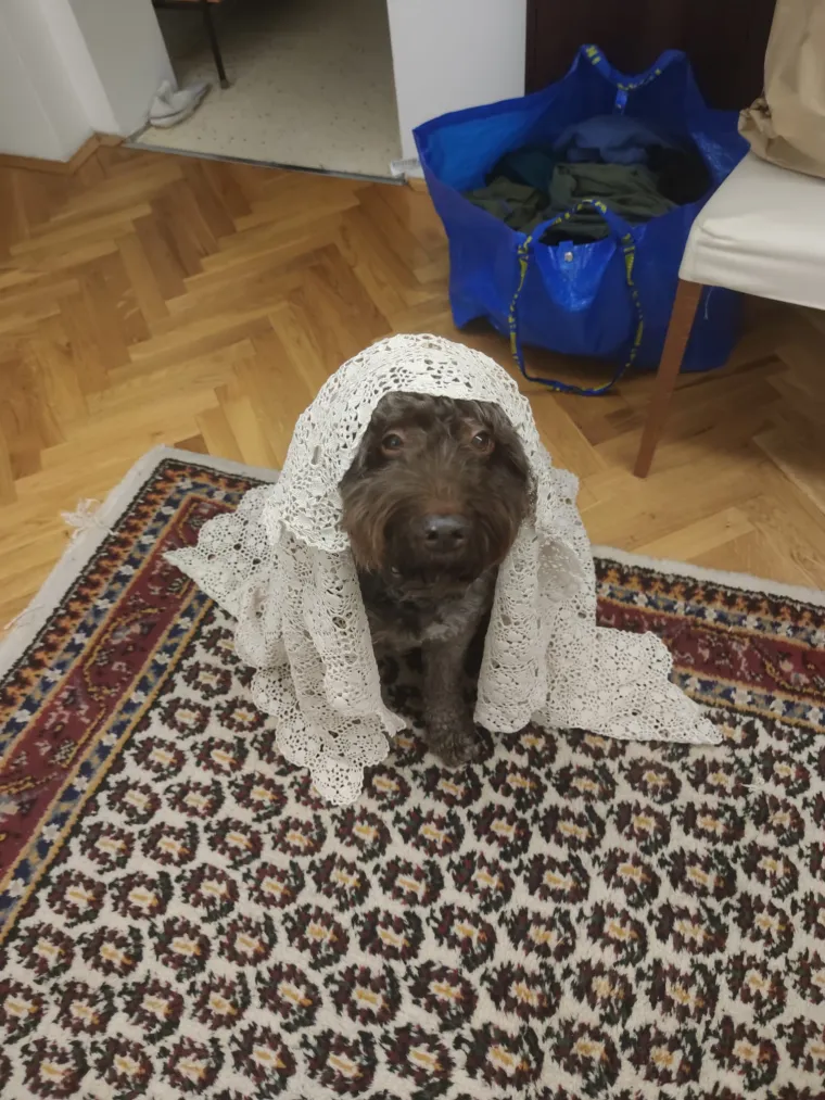 Što smo tražili, to smo i dobili. Zatrpali ste nas slikama tabletića, pogledajte ove genijalne fotke